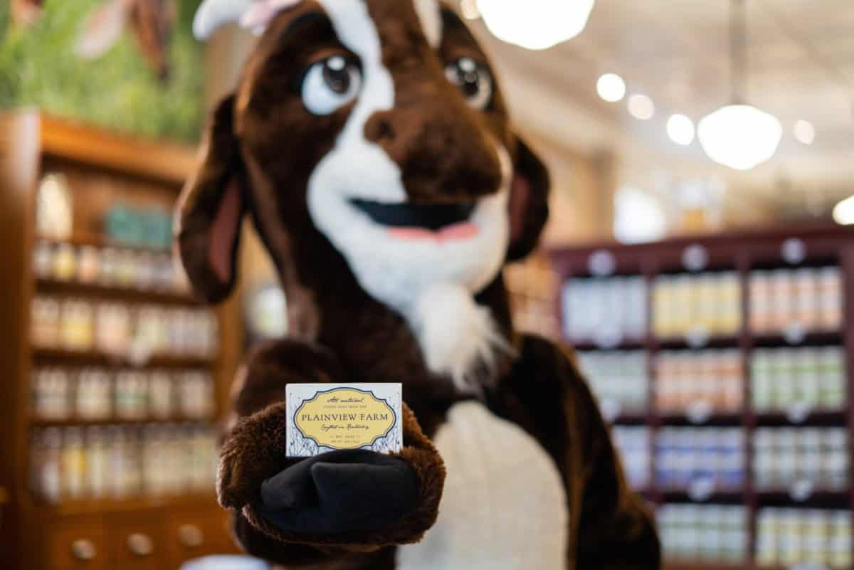 SHOP The Stanford Inn at Wilderness Road